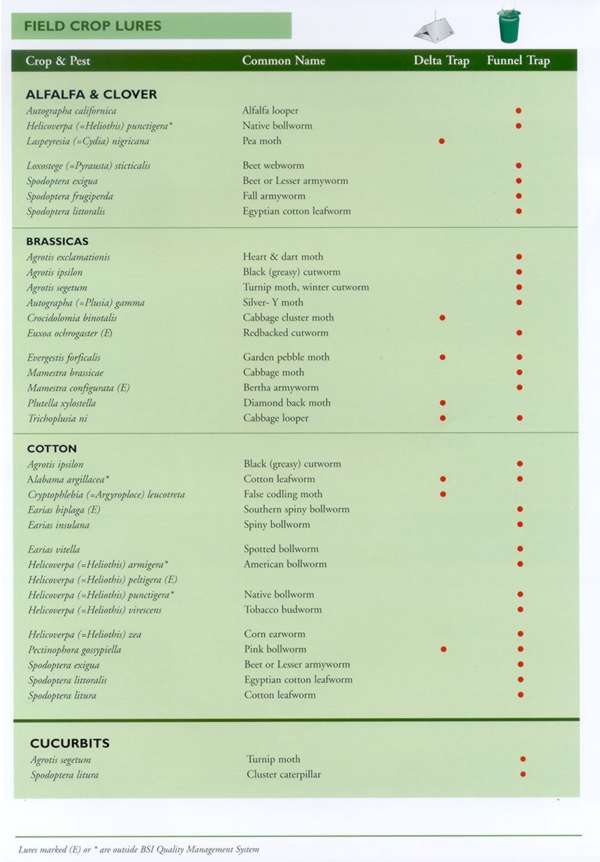 This image may take a moment to load....