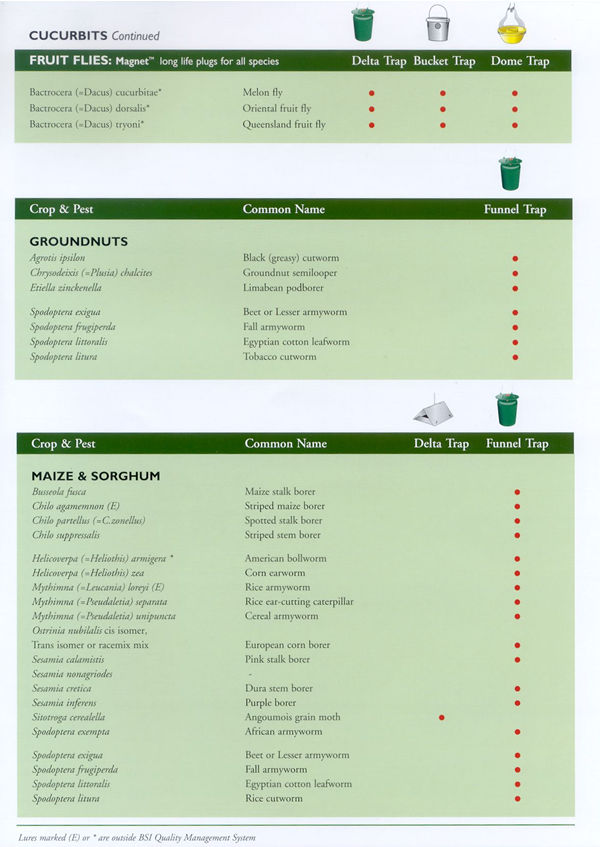 This image may take a moment to load....