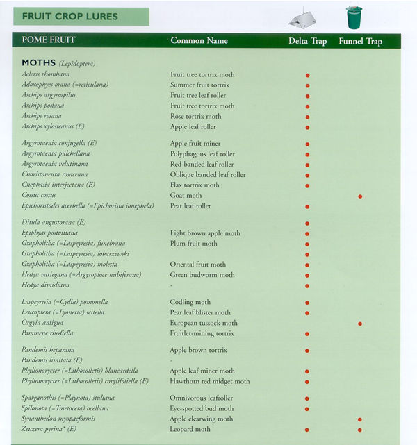 This image may take a moment to load...