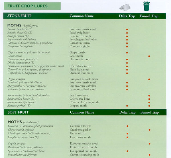 This image may take a moment to load...