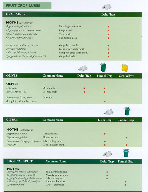 This image may take a moment to load...