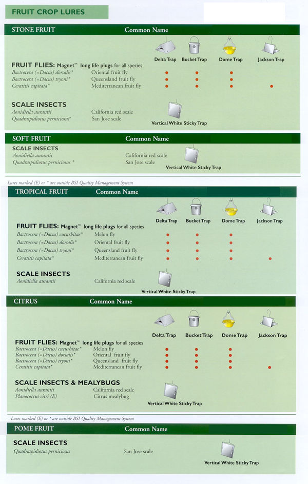 This image may take a moment to load...