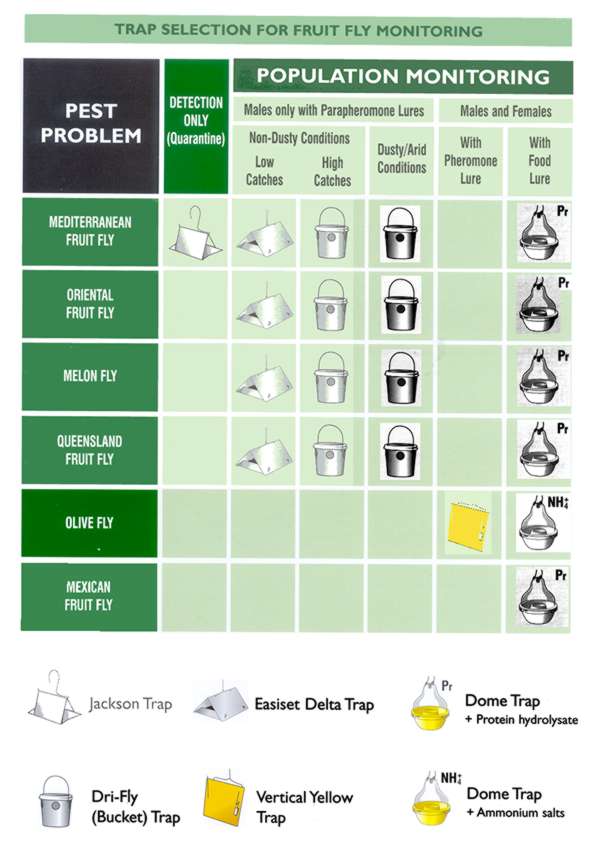 this may take a moment to load....