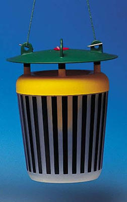 Black Stripe Funnel Trap